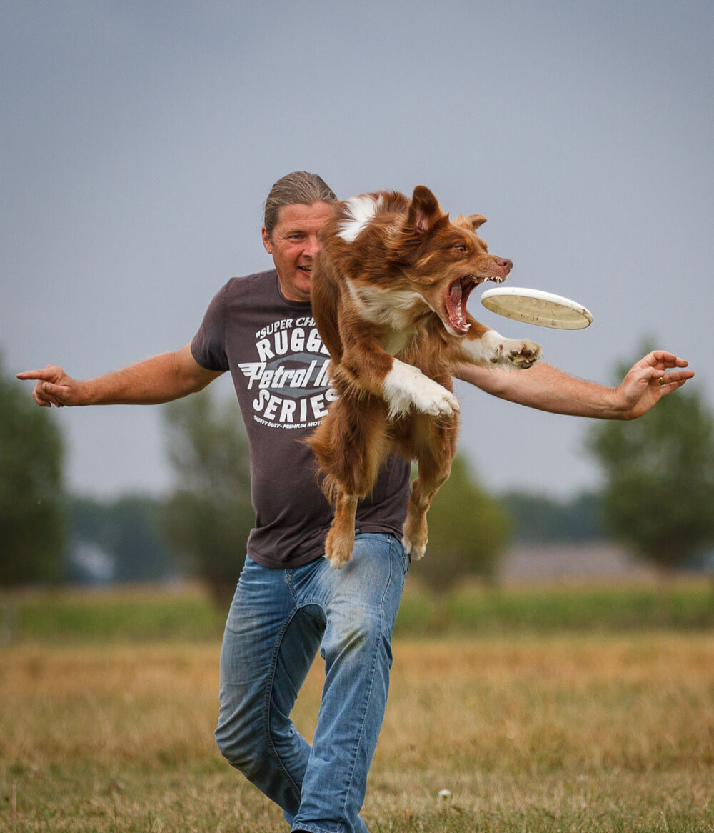 Reint Elzinga Dogfrisbee Joey