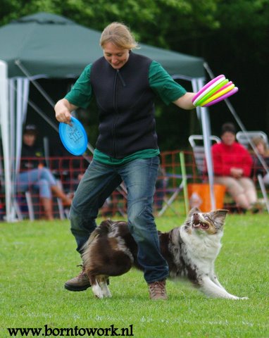 Yvette Dogfrisbee veiligheid